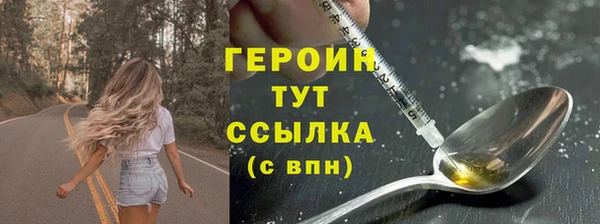 гидра Арсеньев
