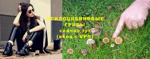 мескалин Аркадак