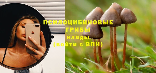 гидра Арсеньев