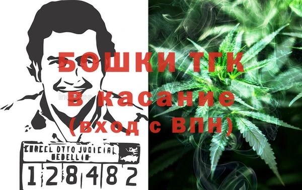 гидра Арсеньев