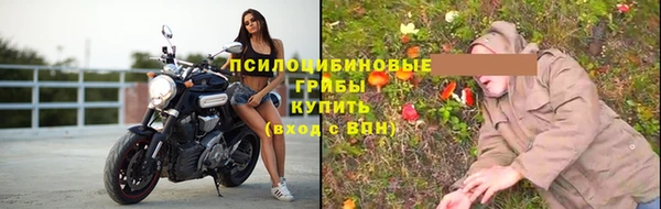 твердый Протвино